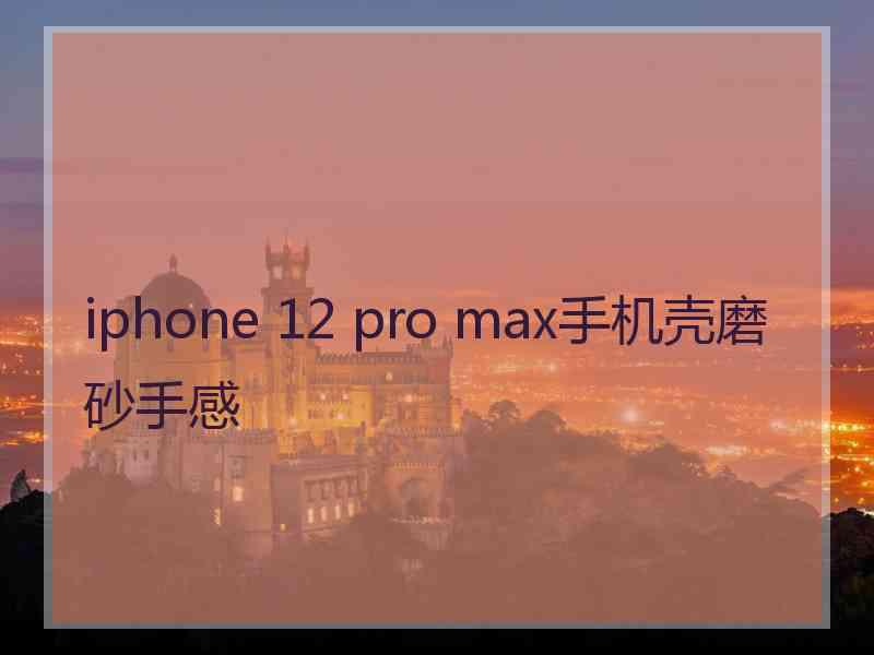 iphone 12 pro max手机壳磨砂手感