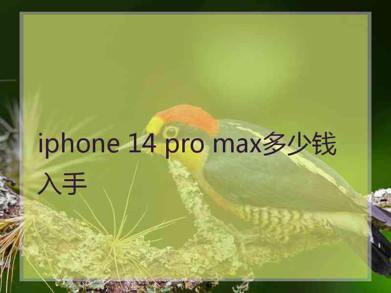 iphone 14 pro max多少钱入手