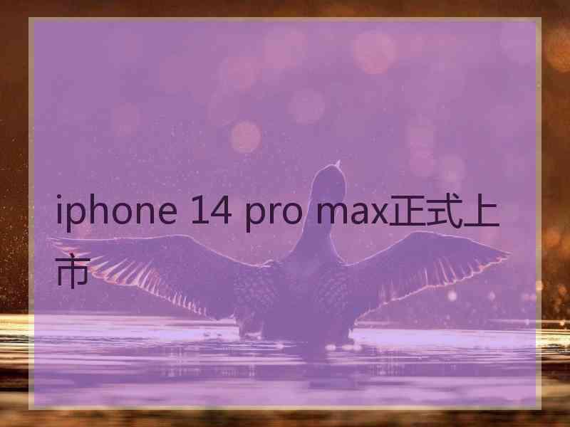 iphone 14 pro max正式上市