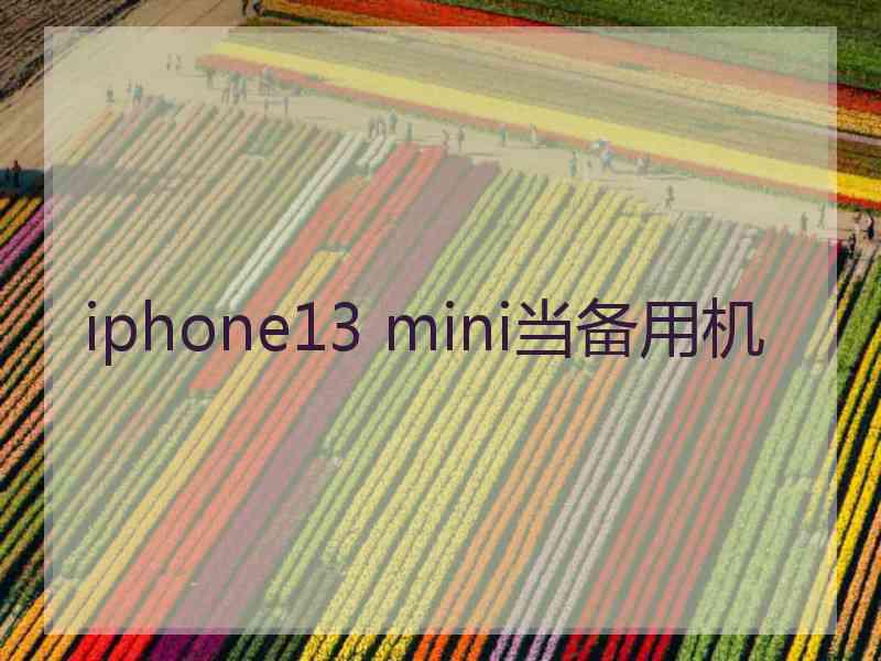 iphone13 mini当备用机