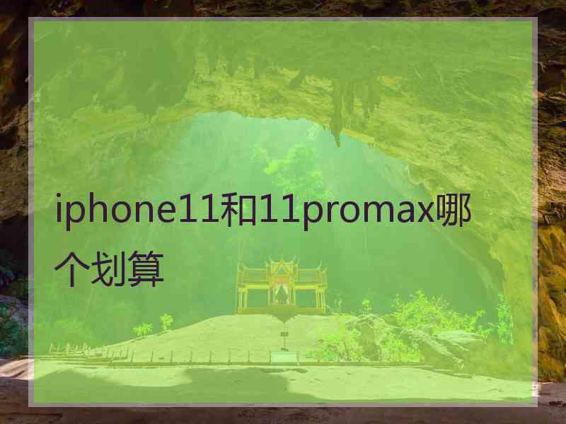 iphone11和11promax哪个划算