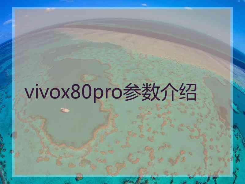 vivox80pro参数介绍