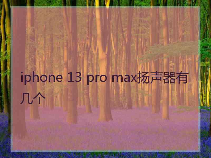 iphone 13 pro max扬声器有几个