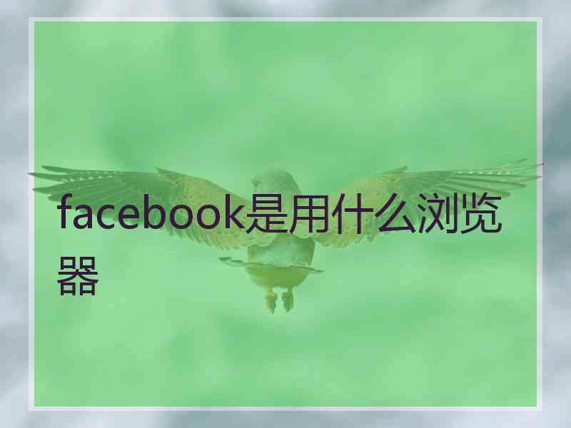 facebook是用什么浏览器