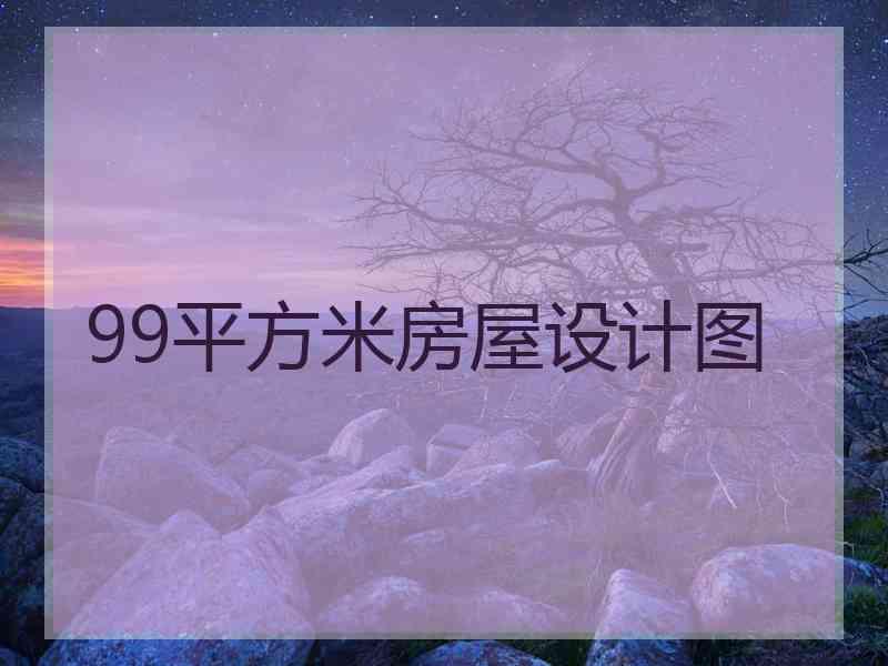 99平方米房屋设计图