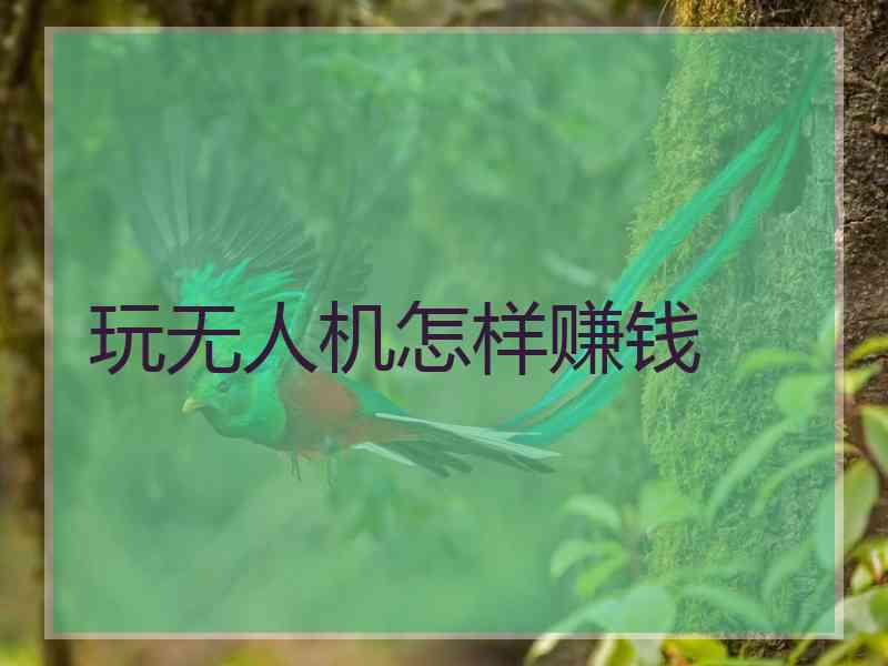 玩无人机怎样赚钱