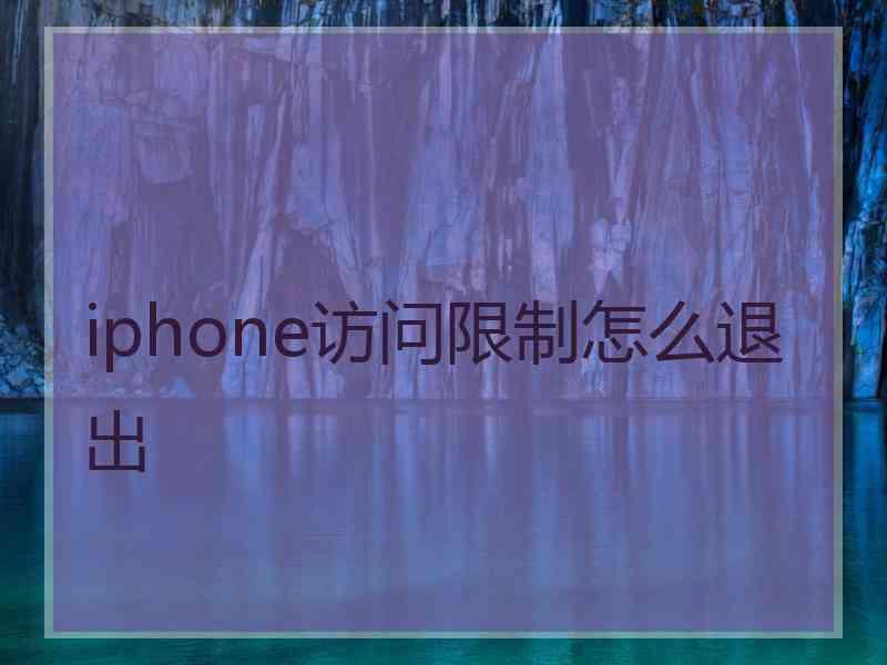 iphone访问限制怎么退出