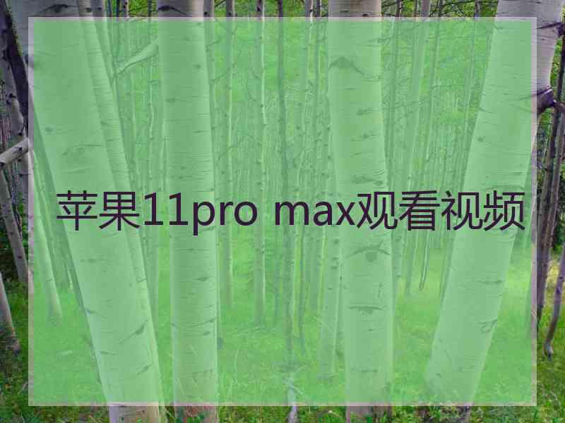 苹果11pro max观看视频