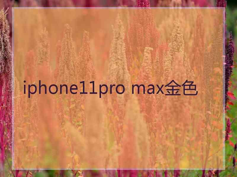 iphone11pro max金色