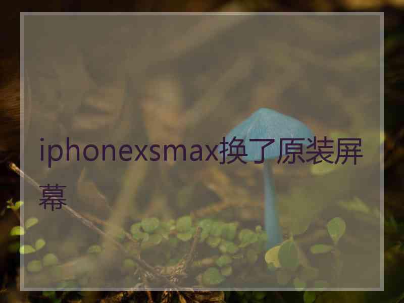 iphonexsmax换了原装屏幕