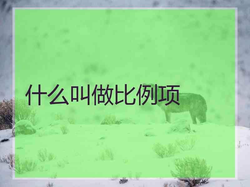 什么叫做比例项