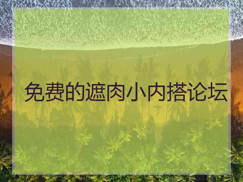 免费的遮肉小内搭论坛