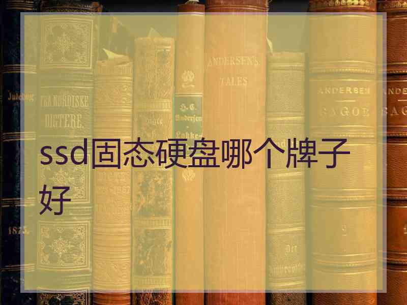 ssd固态硬盘哪个牌子好