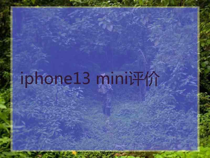 iphone13 mini评价