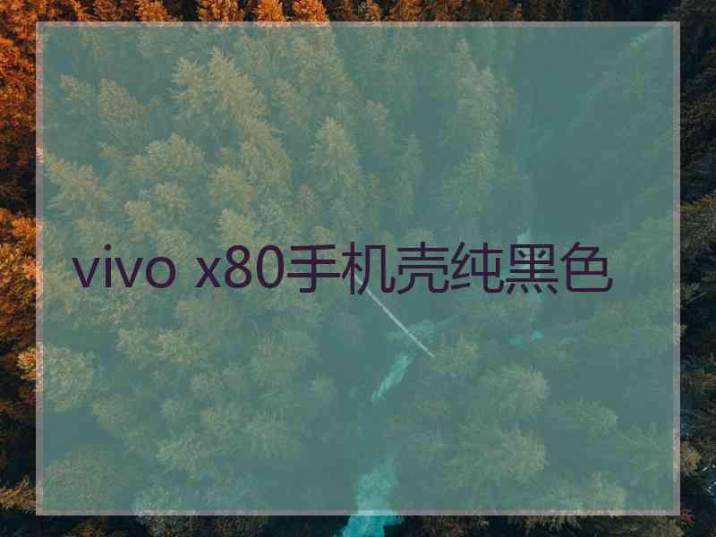 vivo x80手机壳纯黑色