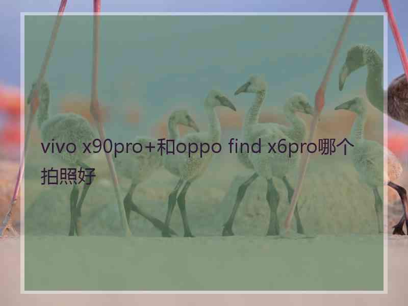 vivo x90pro+和oppo find x6pro哪个拍照好