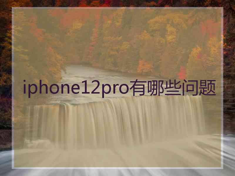 iphone12pro有哪些问题