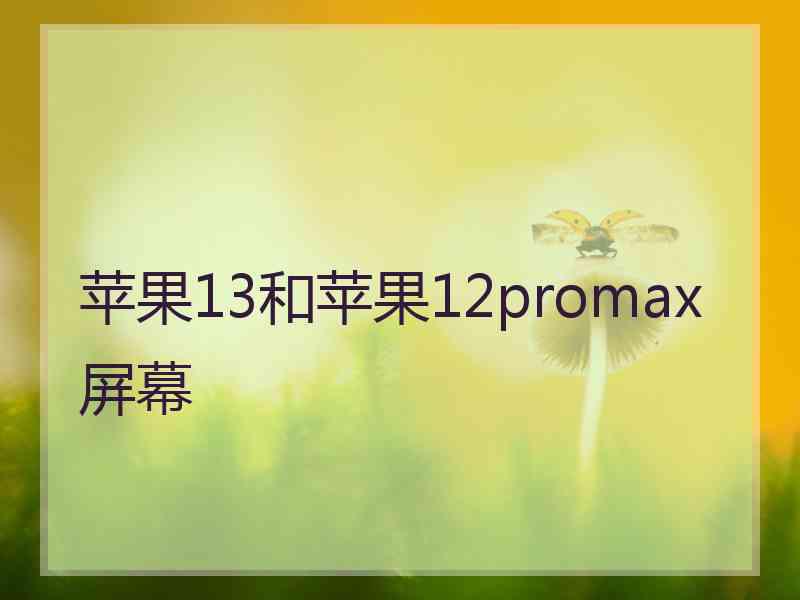 苹果13和苹果12promax屏幕