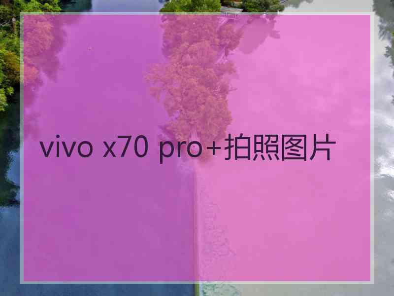 vivo x70 pro+拍照图片