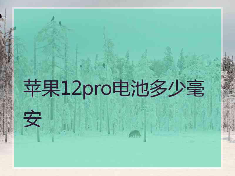 苹果12pro电池多少毫安