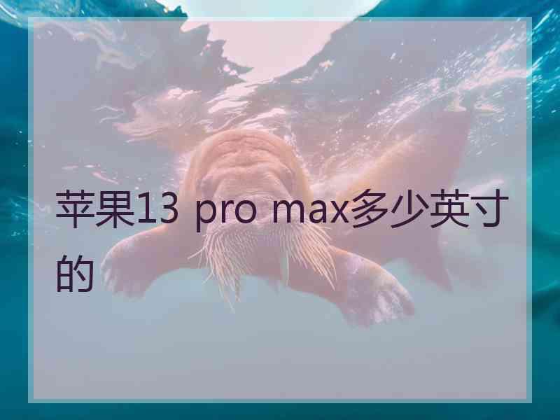 苹果13 pro max多少英寸的