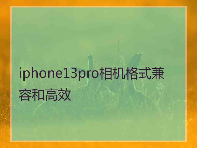 iphone13pro相机格式兼容和高效