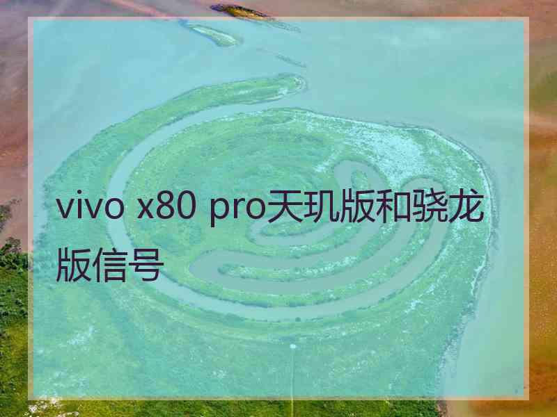 vivo x80 pro天玑版和骁龙版信号