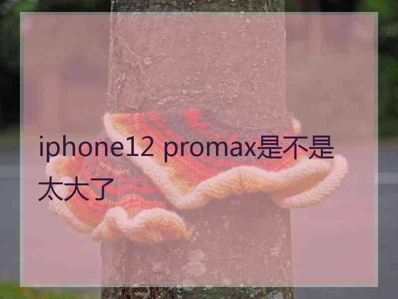 iphone12 promax是不是太大了