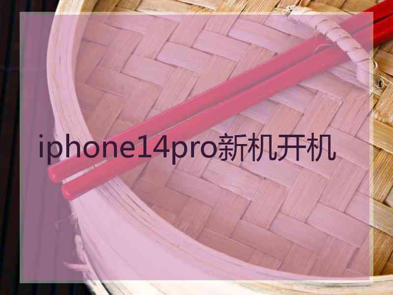 iphone14pro新机开机