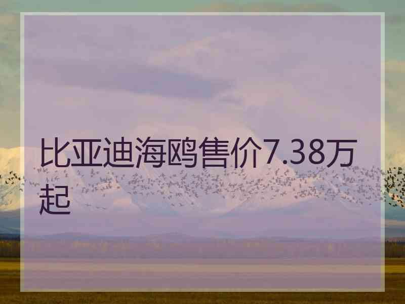 比亚迪海鸥售价7.38万起