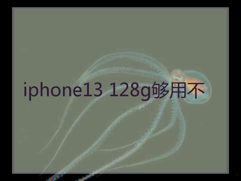 iphone13 128g够用不