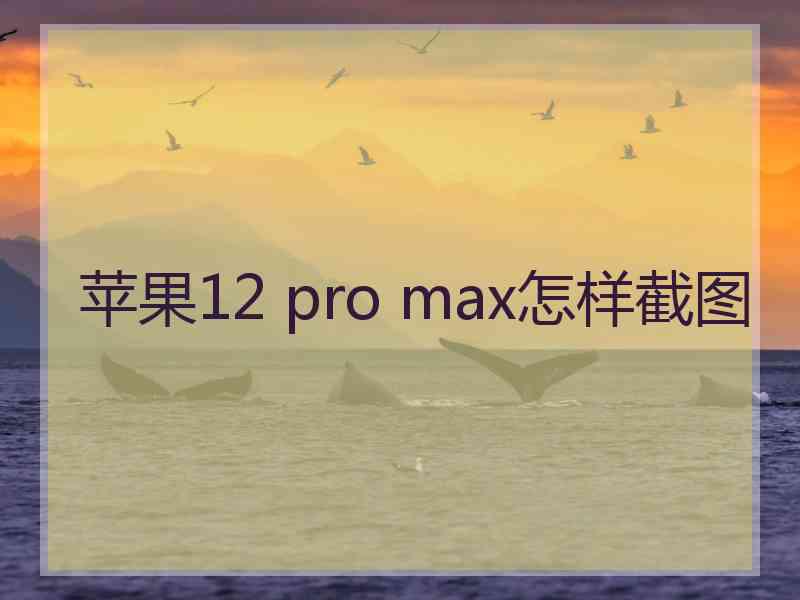 苹果12 pro max怎样截图