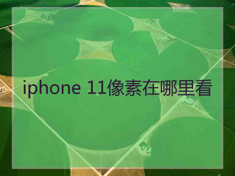 iphone 11像素在哪里看