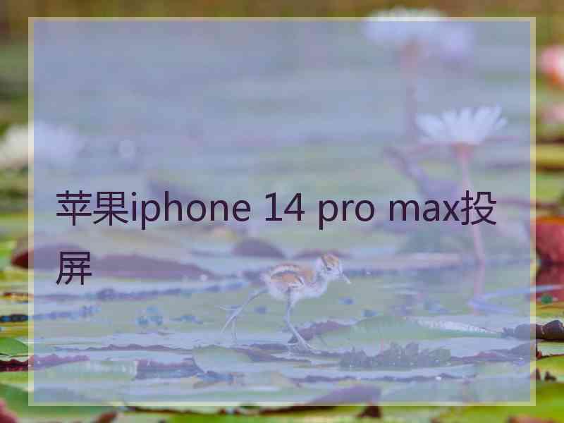 苹果iphone 14 pro max投屏