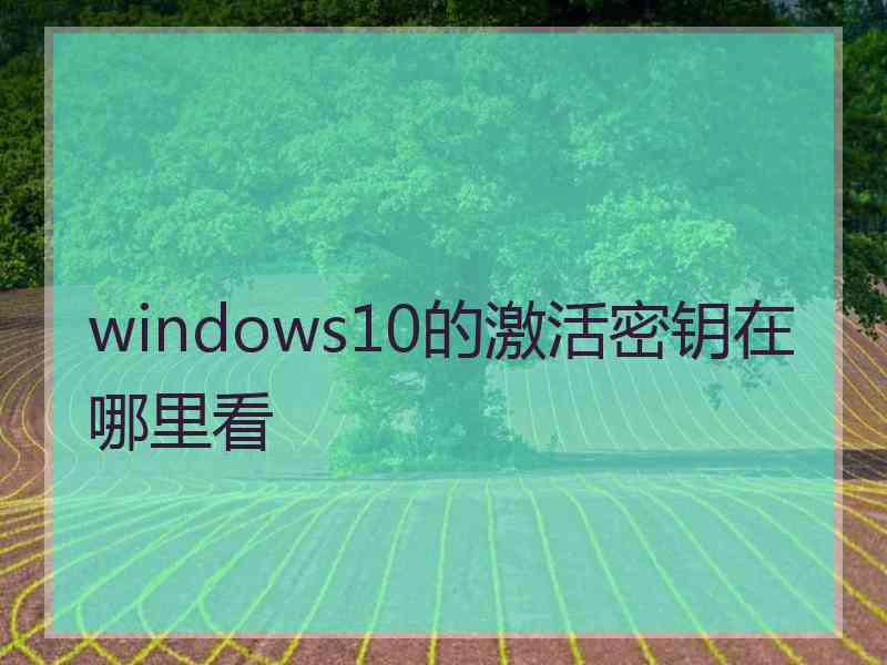 windows10的激活密钥在哪里看