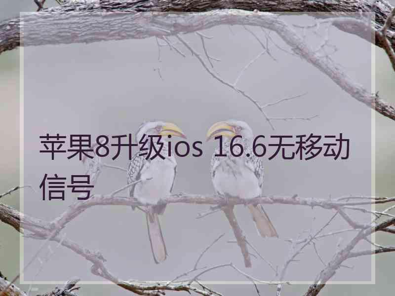 苹果8升级ios 16.6无移动信号