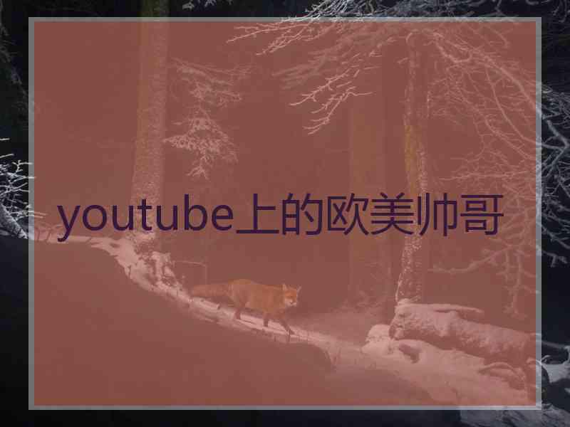 youtube上的欧美帅哥