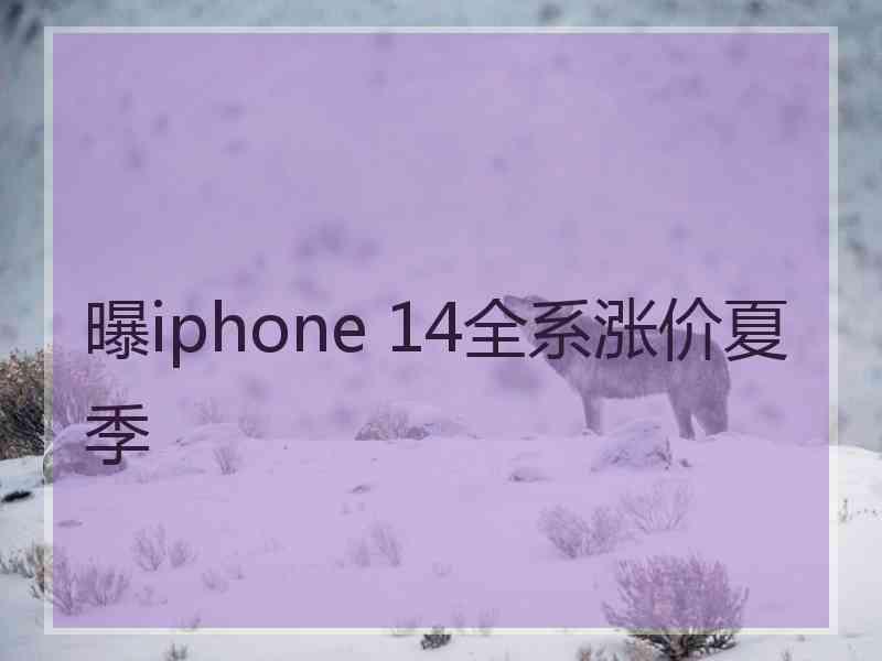 曝iphone 14全系涨价夏季