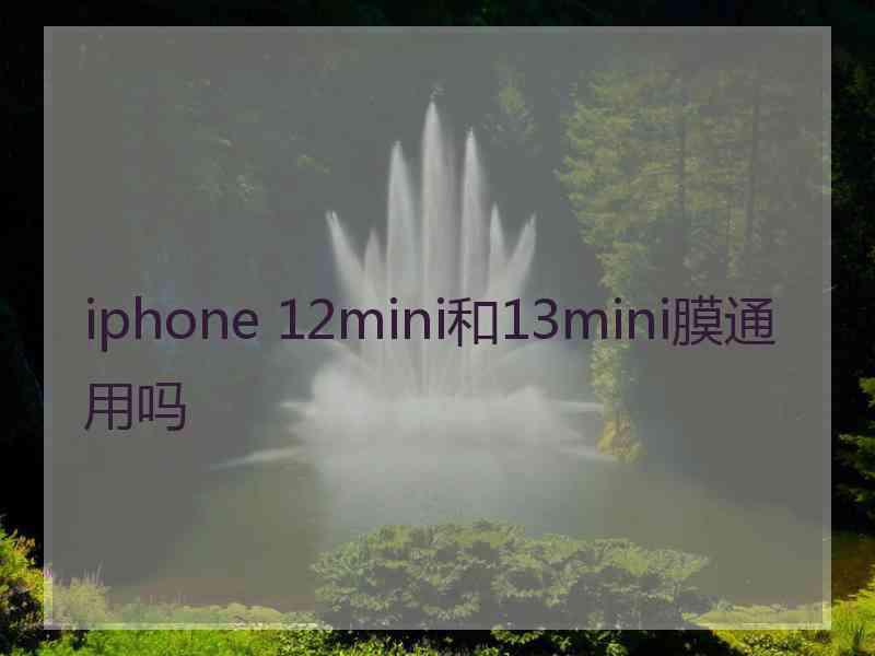 iphone 12mini和13mini膜通用吗