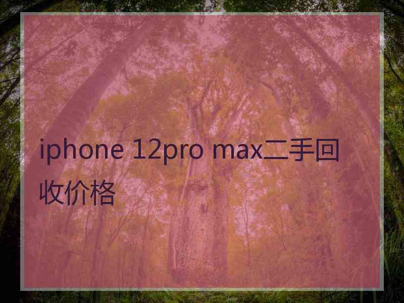 iphone 12pro max二手回收价格