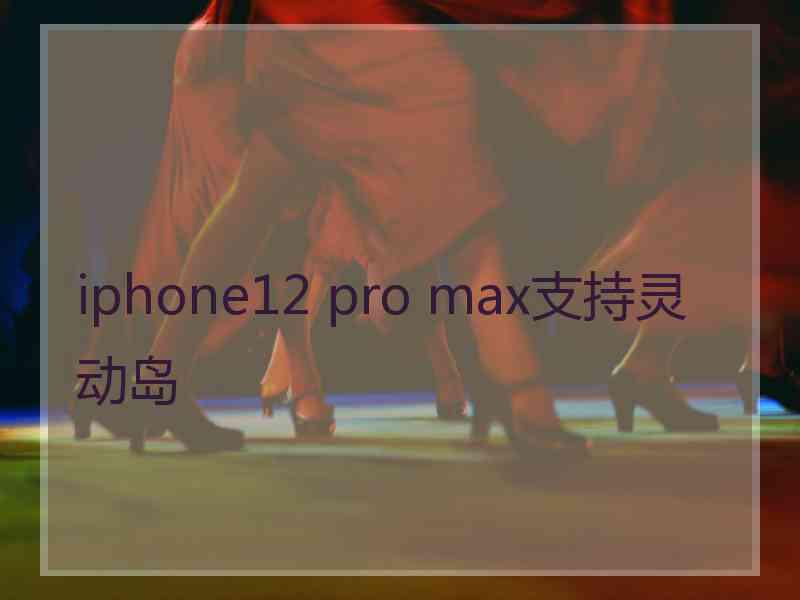 iphone12 pro max支持灵动岛