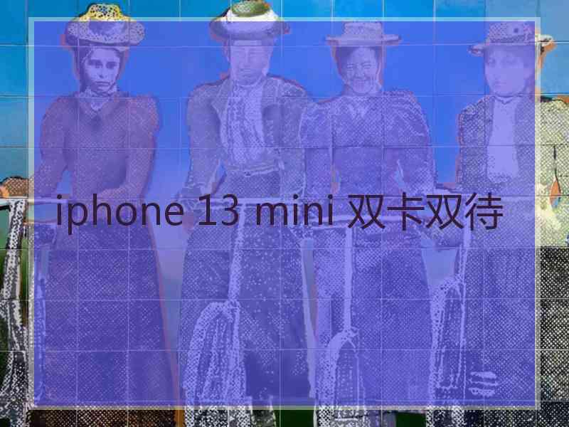 iphone 13 mini 双卡双待