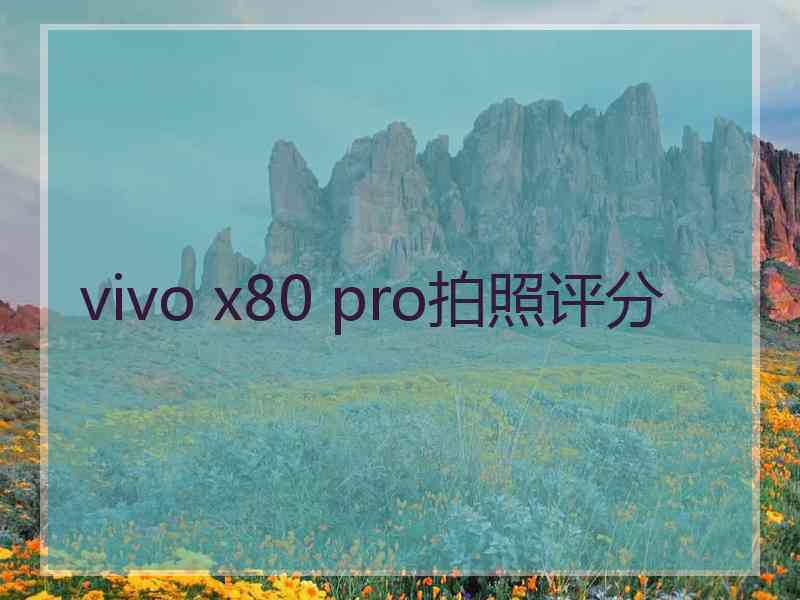 vivo x80 pro拍照评分