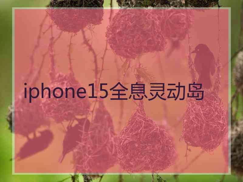 iphone15全息灵动岛