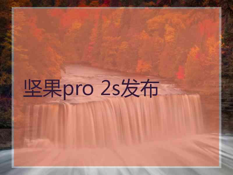 坚果pro 2s发布