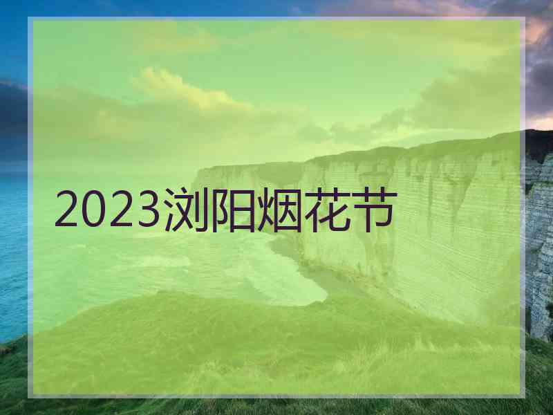 2023浏阳烟花节