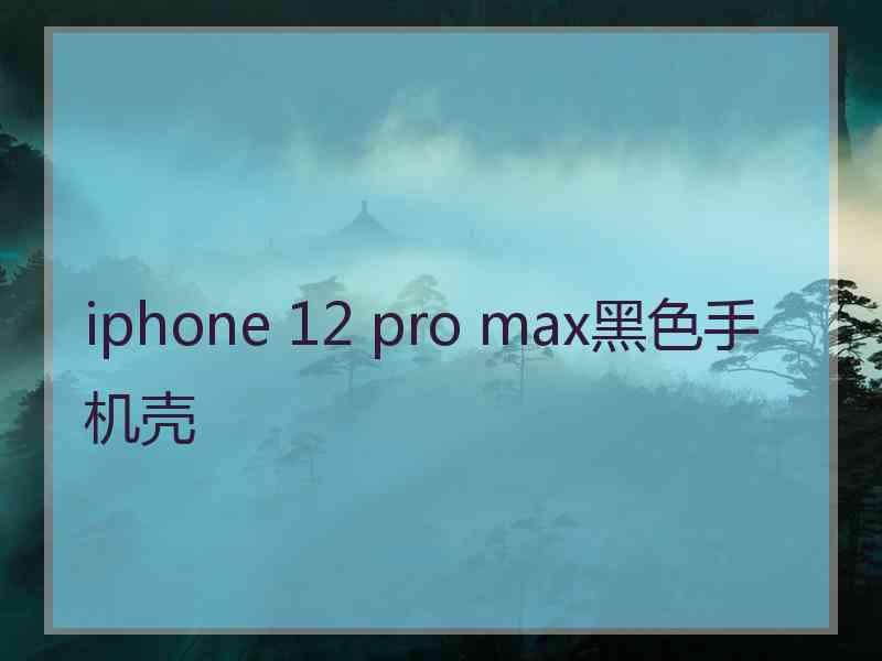 iphone 12 pro max黑色手机壳