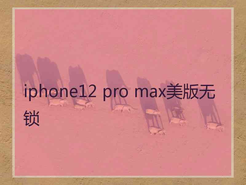 iphone12 pro max美版无锁