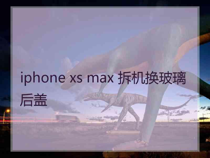 iphone xs max 拆机换玻璃后盖