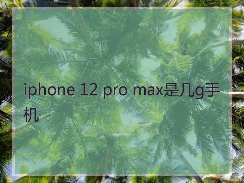 iphone 12 pro max是几g手机